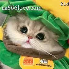 Once Mekel profile picture